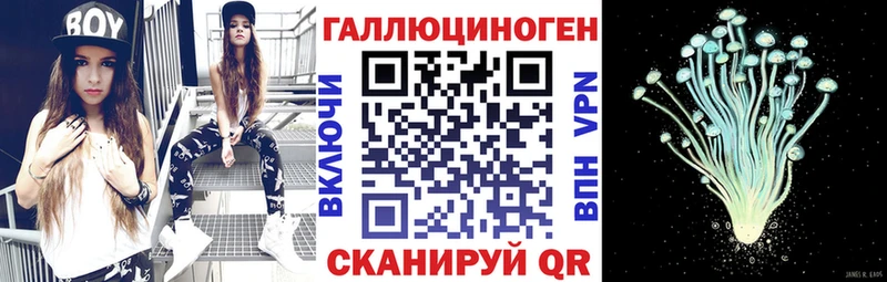 Галлюциногенные грибы мухоморы  Невель 