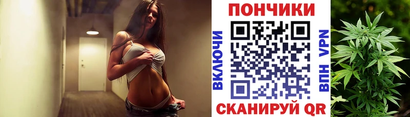 Бошки марихуана конопля  Невель 
